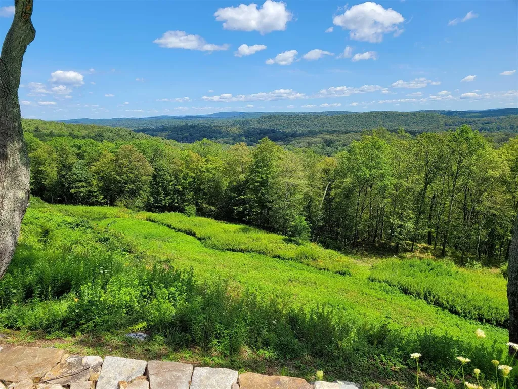 29 Stissing View Drive Rhinebeck NY 12572