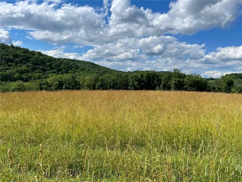 Perrys Corners Road Amenia NY 12501
