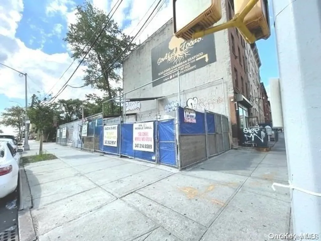 196 Rockaway Avenue Brooklyn NY 11233
