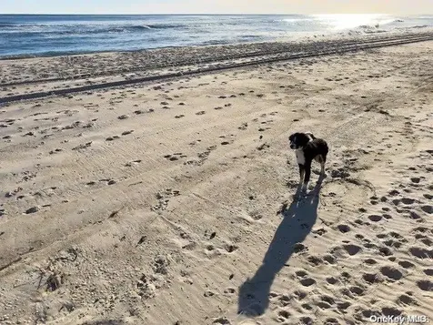 514 E Fire Island Boulevard Fire Island Pines NY 11782