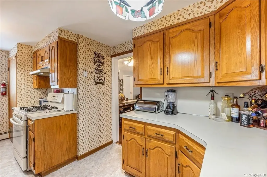 67 S Covert Avenue Elmont NY 11003