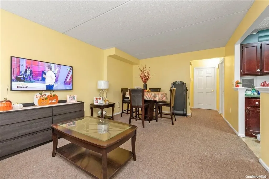 217 Eldert Street Brooklyn NY 11207
