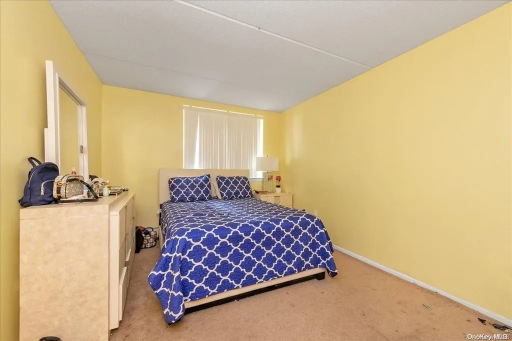 217 Eldert Street Brooklyn NY 11207