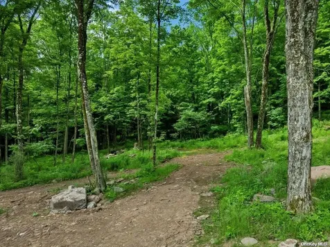 613 Betty Brook Road Kortright NY 13739