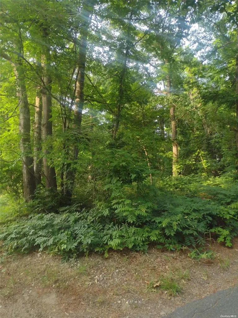 Cedar Lane Medford NY 11763