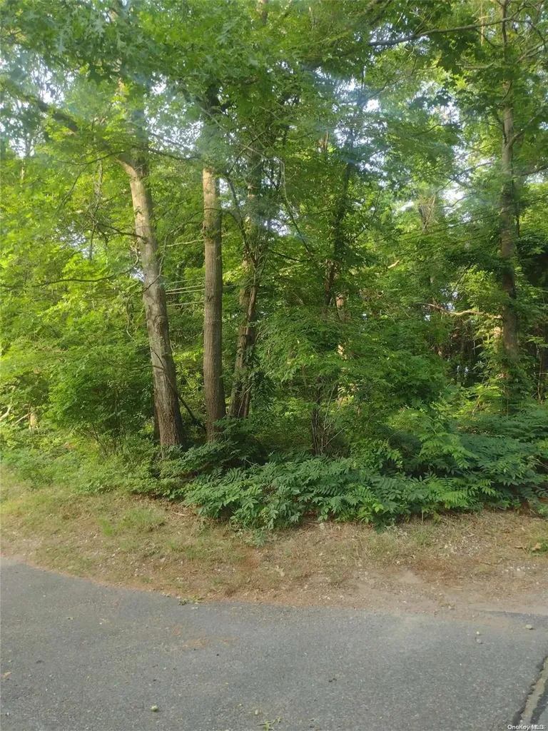 Cedar Lane Medford NY 11763