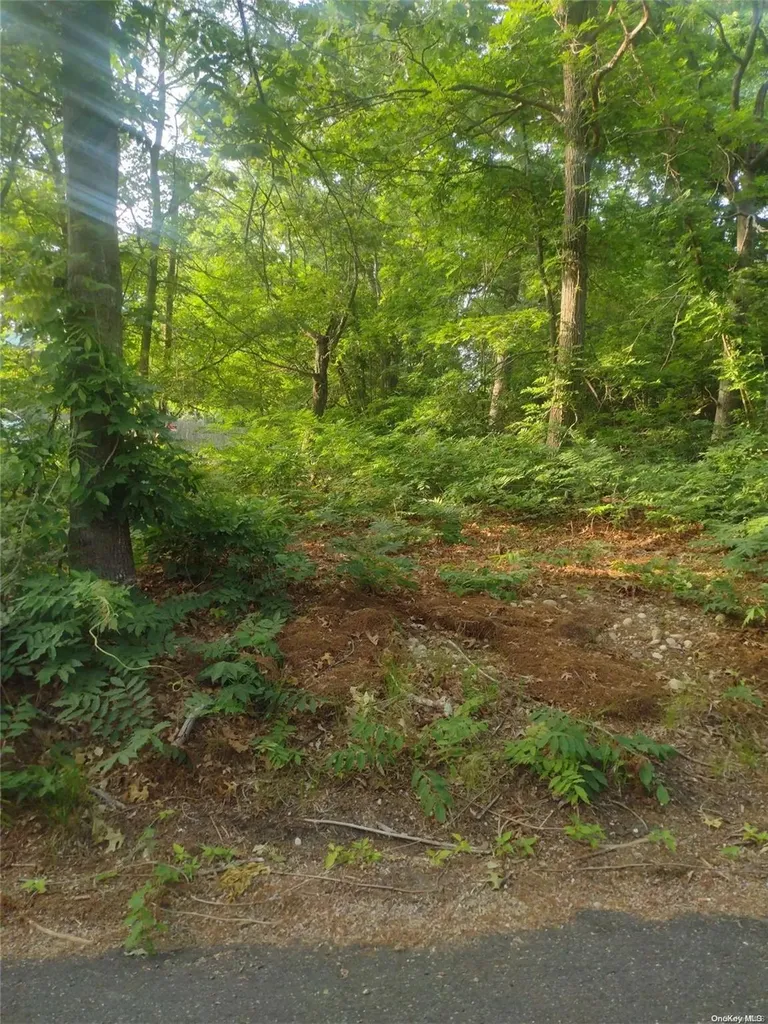 Cedar Lane Medford NY 11763
