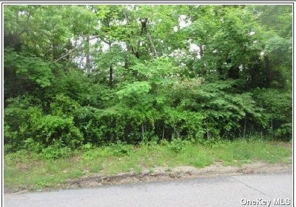 0 Mount Vernon Avenue Patchogue NY 11772