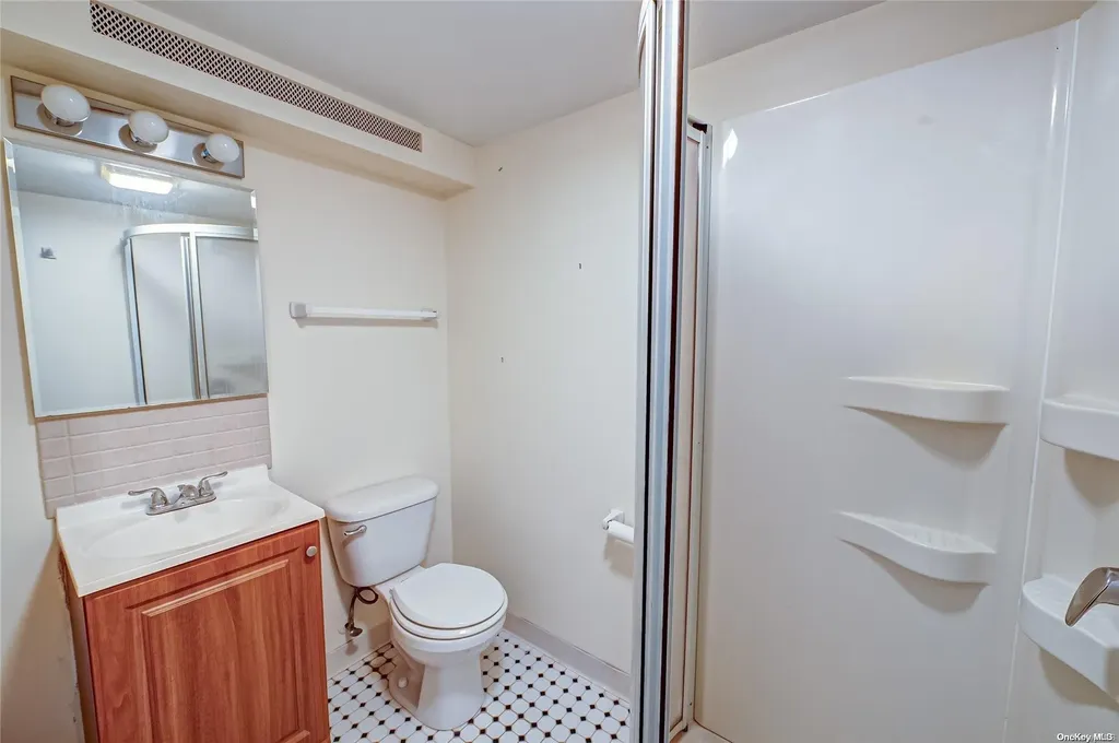 56 Donald Street East Williston NY 11596