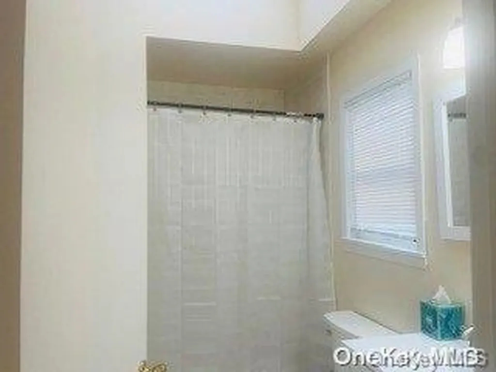 58 Wilson Avenue Deer Park NY 11729