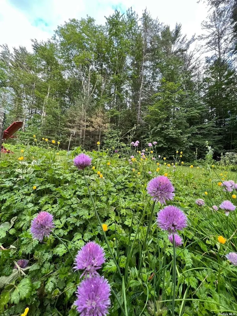 9 Pinekill Lane Windham NY 12496