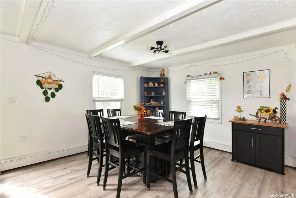 36 John Lane Levittown NY 11756