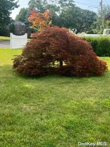 931 Narragansett Avenue East Patchogue NY 11772