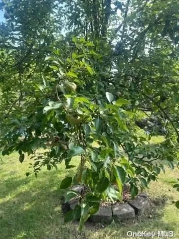 931 Narragansett Avenue East Patchogue NY 11772