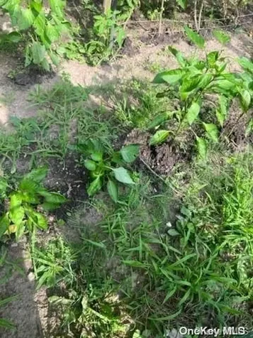 931 Narragansett Avenue East Patchogue NY 11772