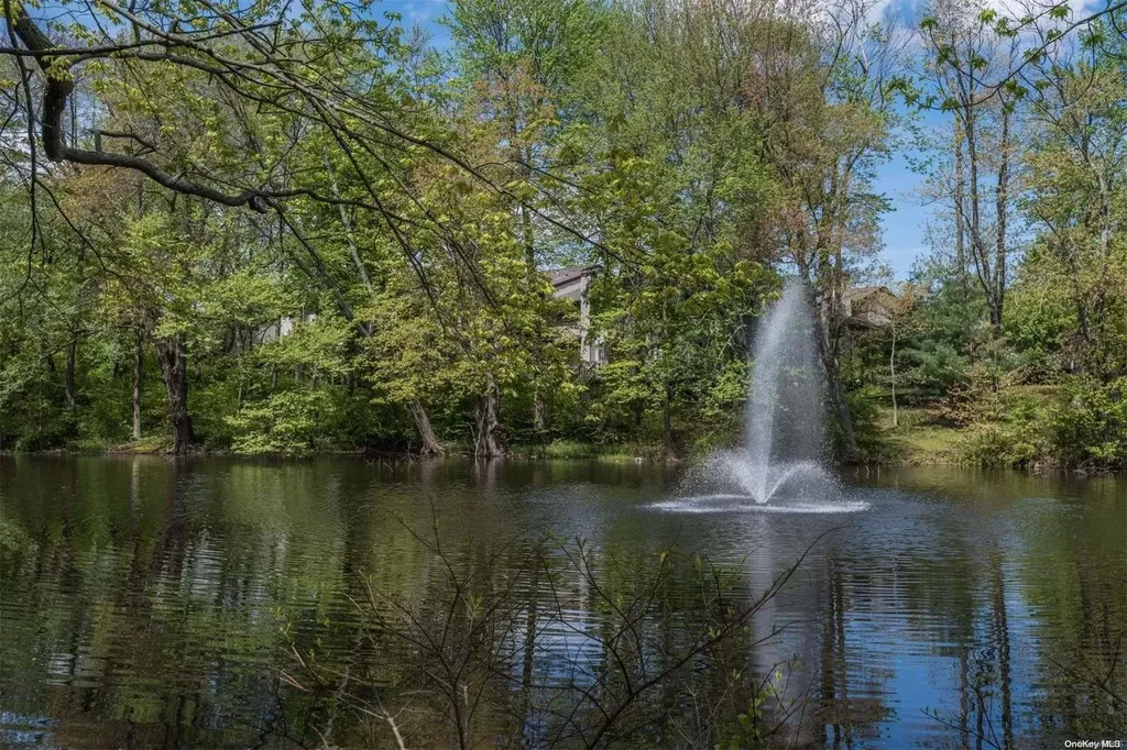 11 Pond View Jericho NY 11753