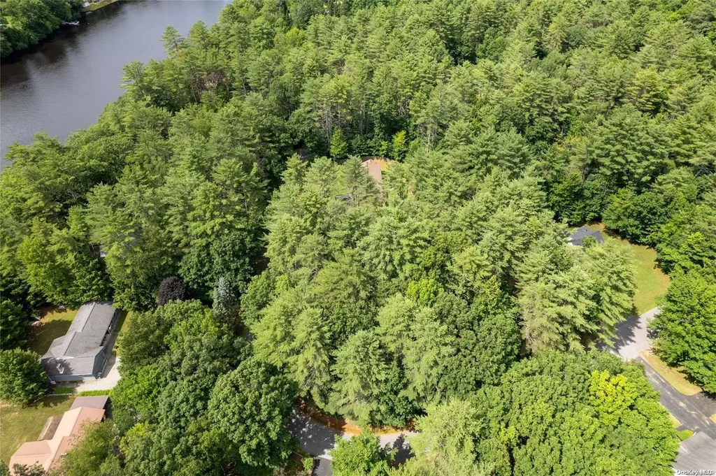 L20 White Birch Drive Call Listing Agent NY 12846