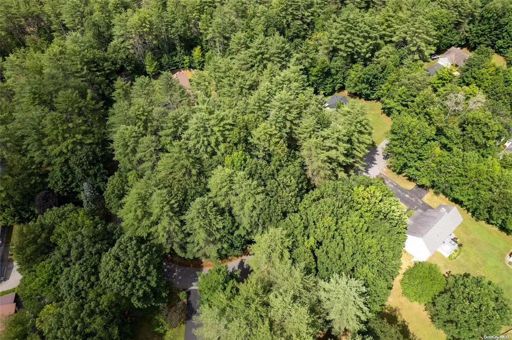 L20 White Birch Drive Call Listing Agent NY 12846