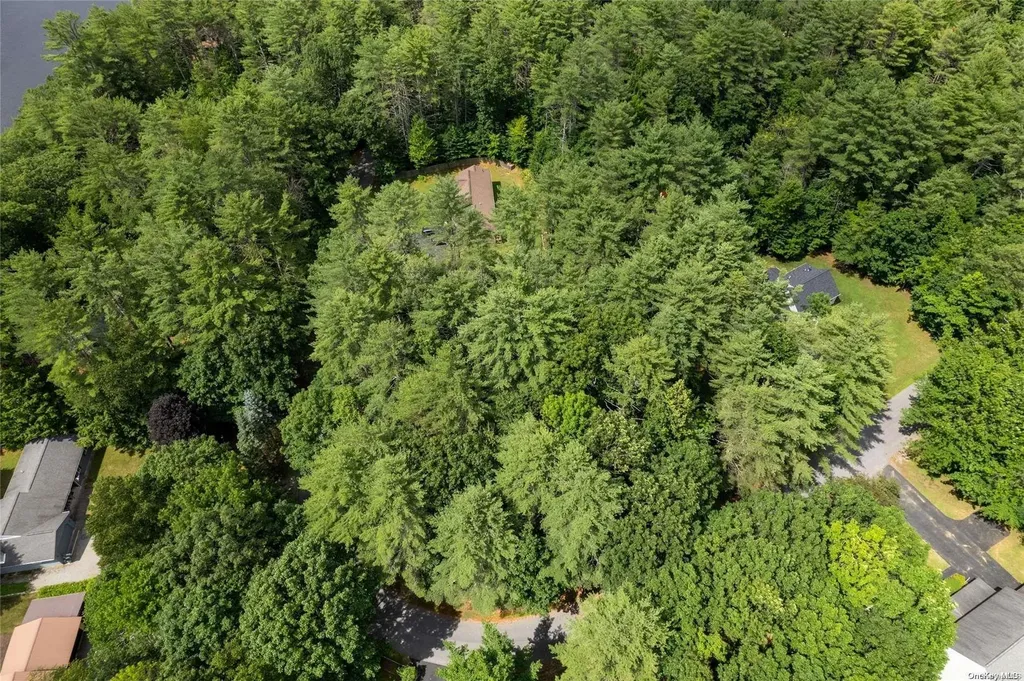 L20 White Birch Drive Call Listing Agent NY 12846