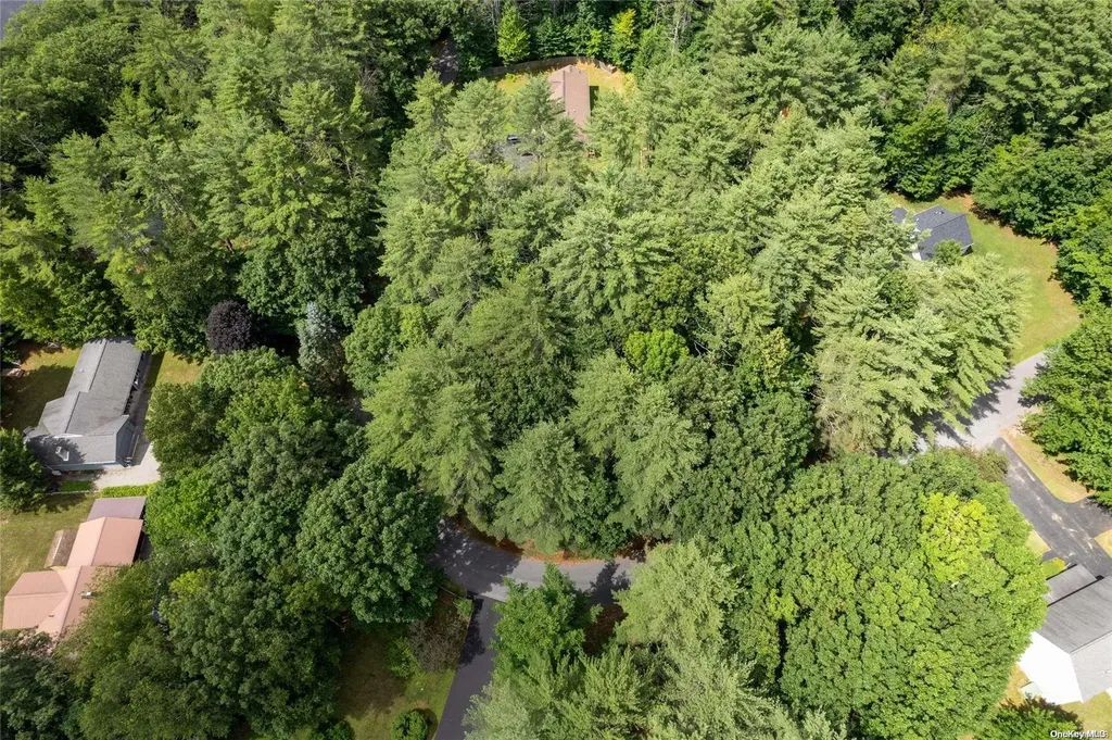 L20 White Birch Drive Call Listing Agent NY 12846