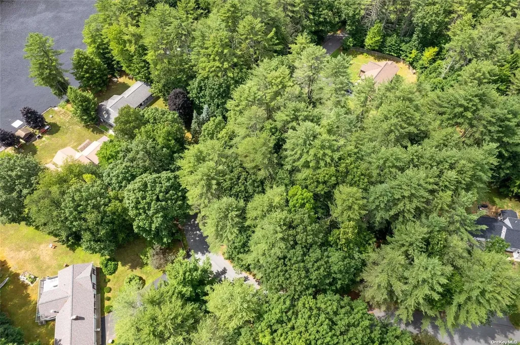 L20 White Birch Drive Call Listing Agent NY 12846