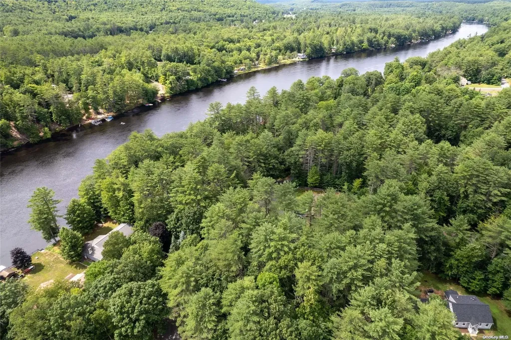 L20 White Birch Drive Call Listing Agent NY 12846