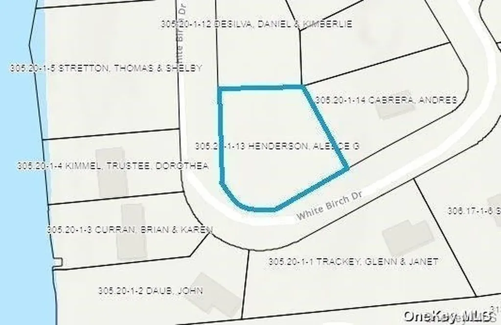 L20 White Birch Drive Call Listing Agent NY 12846