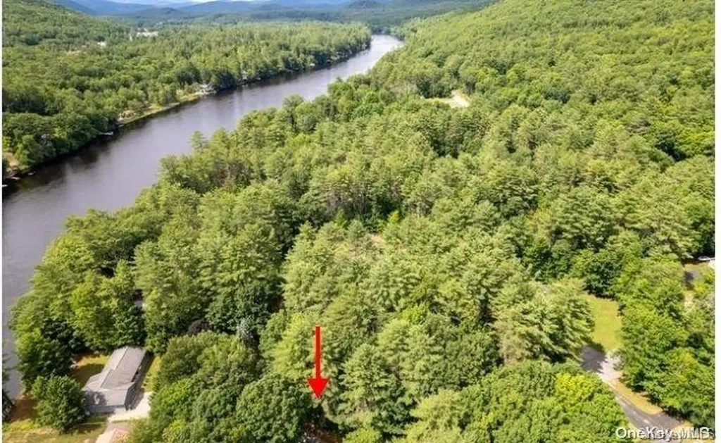 L20 White Birch Drive Call Listing Agent NY 12846