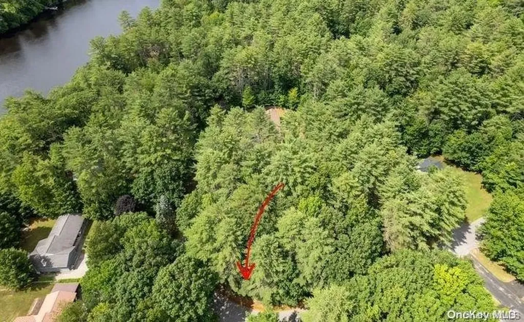 L20 White Birch Drive Call Listing Agent NY 12846