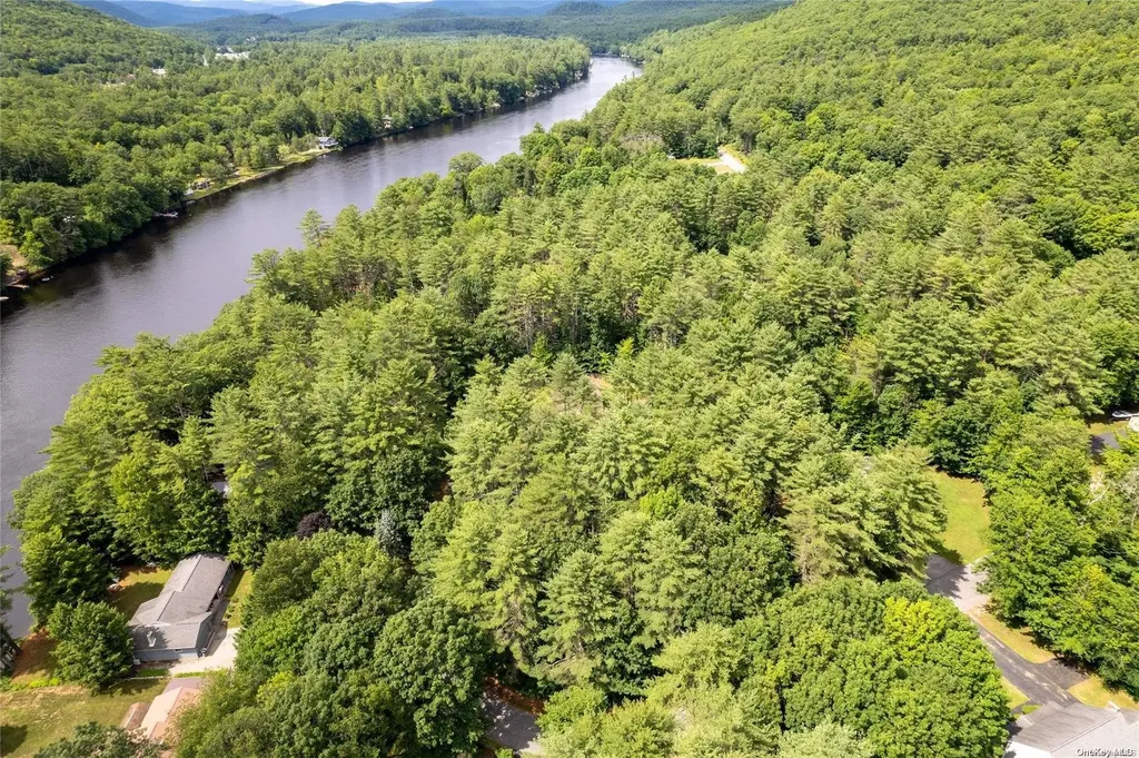 L20 White Birch Drive Call Listing Agent NY 12846