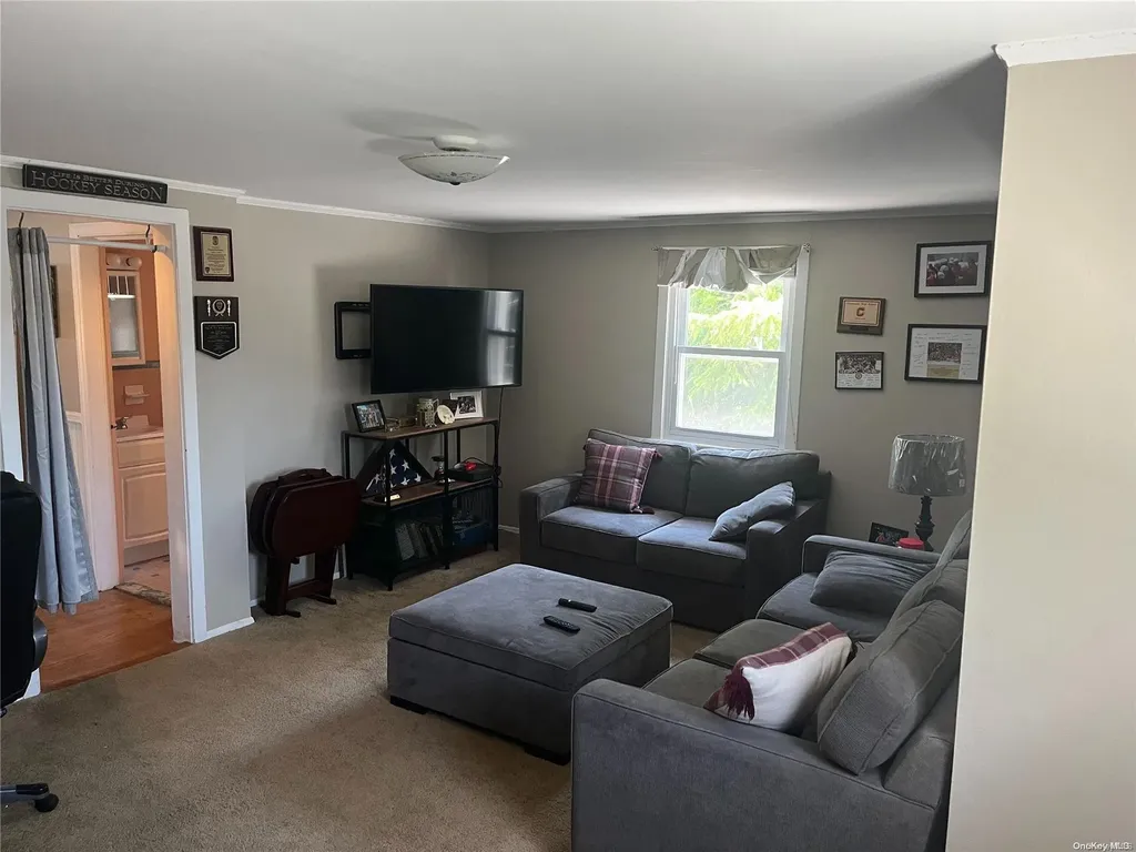 169 Patton Boulevard New Hyde Park NY 11040