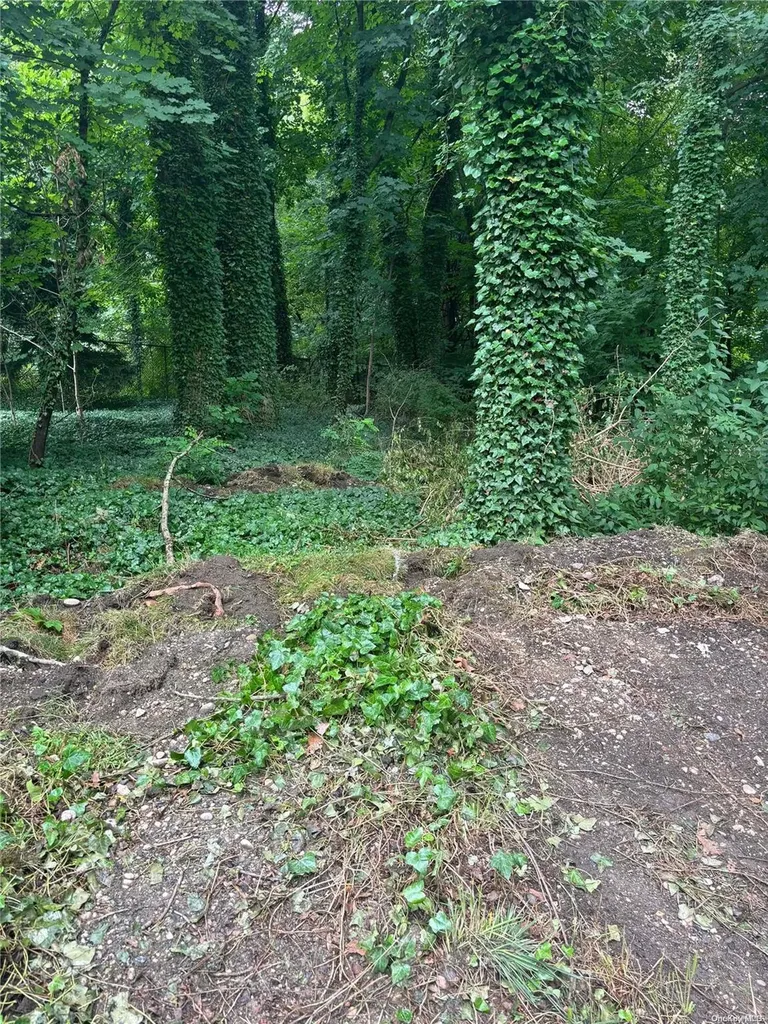 8 Poplar Place Cold Spring Harbor NY 11724