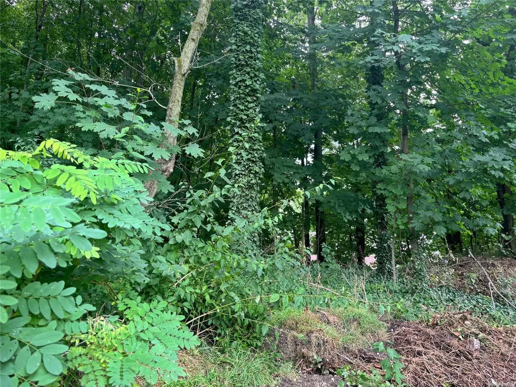 8 Poplar Place Cold Spring Harbor NY 11724