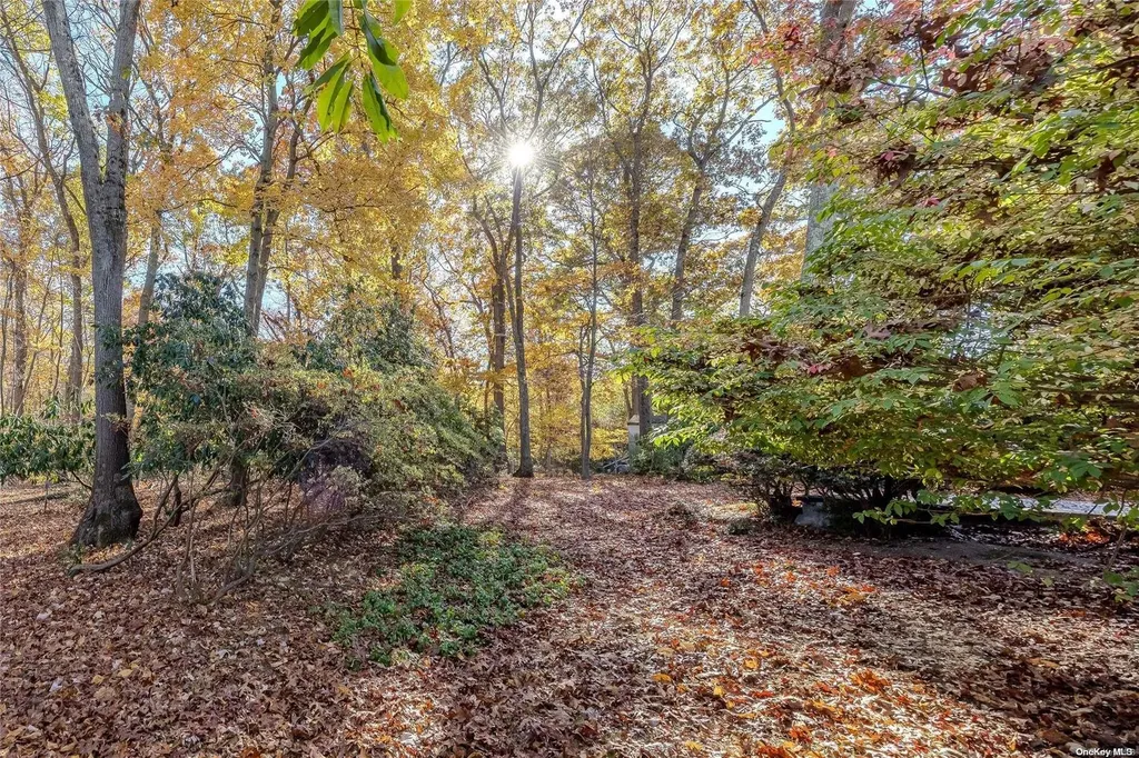 61 Thompson Hay Path Setauket NY 11733