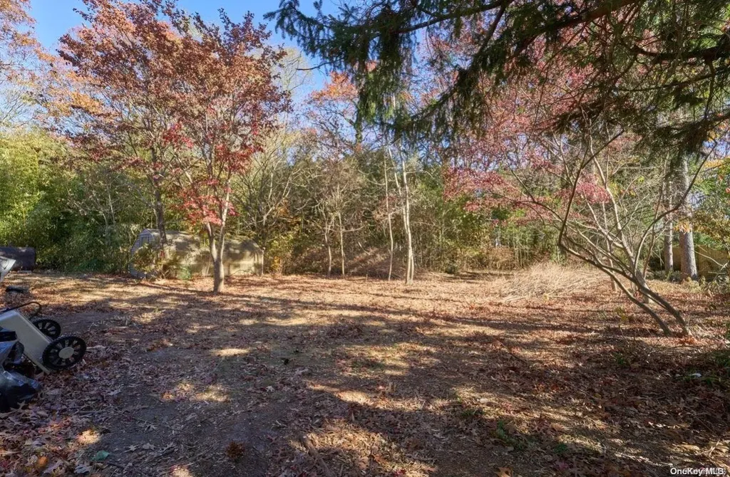 342 Carnation Drive Shirley NY 11967