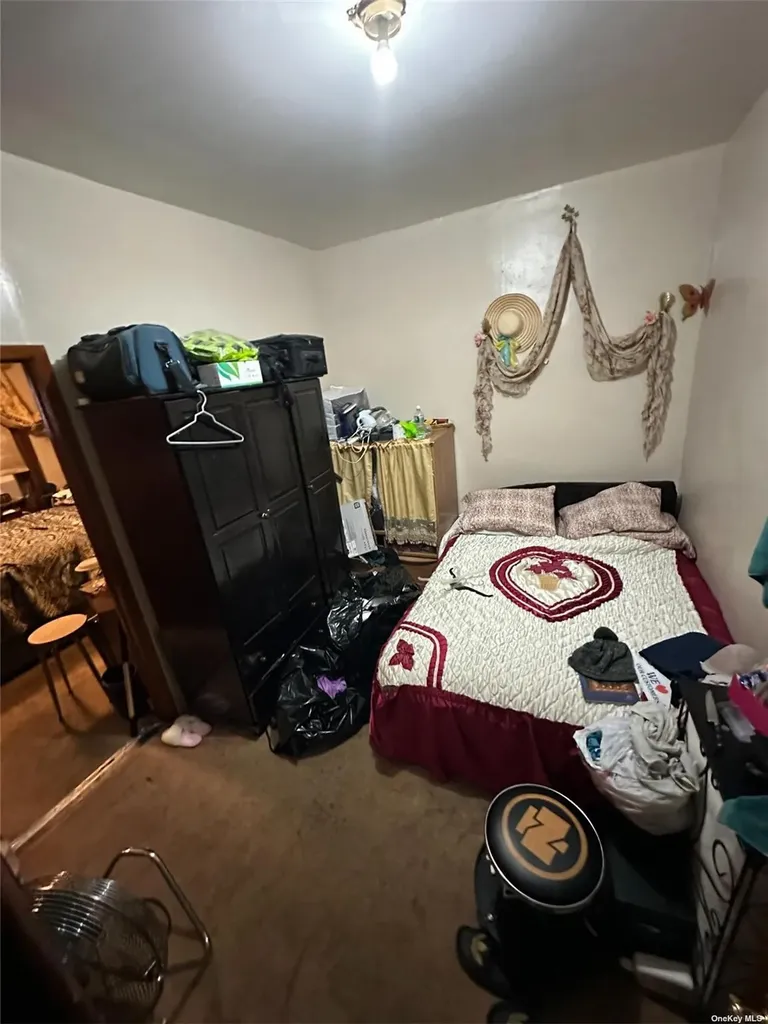 229 Nichols Avenue Brooklyn NY 11208