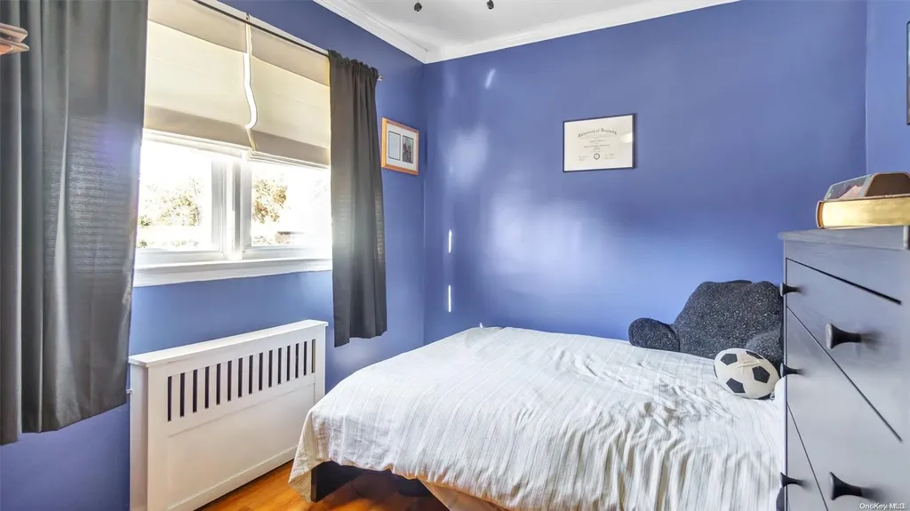 20 Eleanor Road Plainview NY 11803