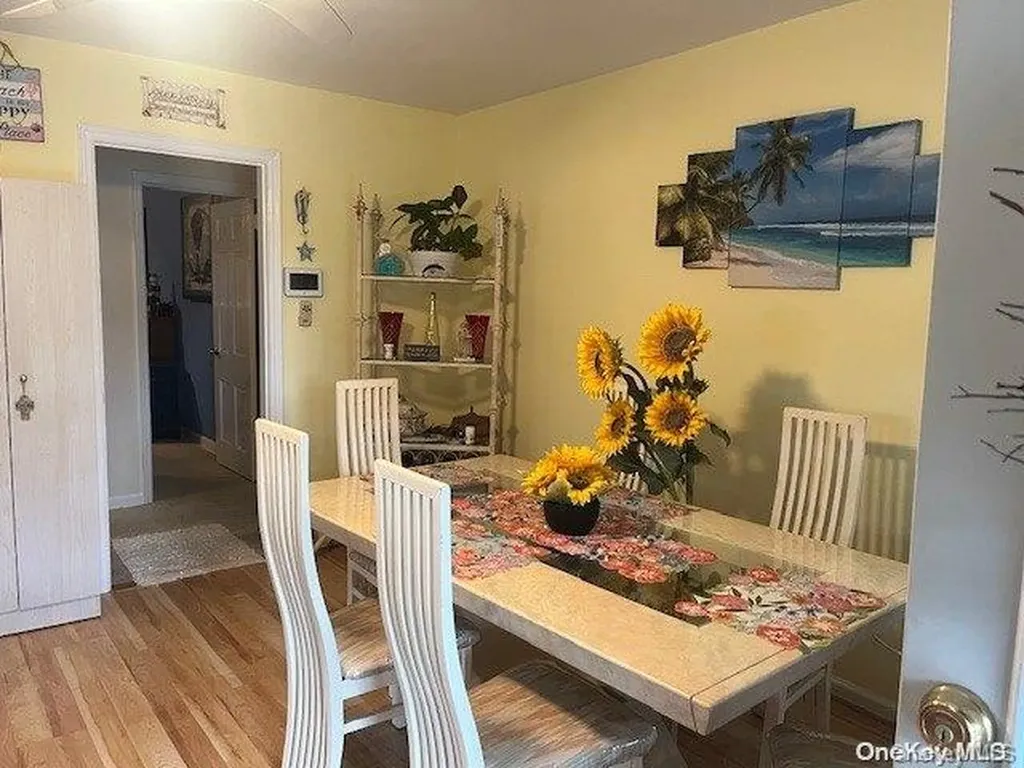 11 Jerome Avenue Mineola NY 11501
