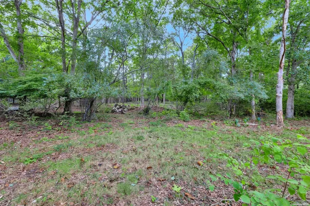 52 Crescent Bow Ridge NY 11961