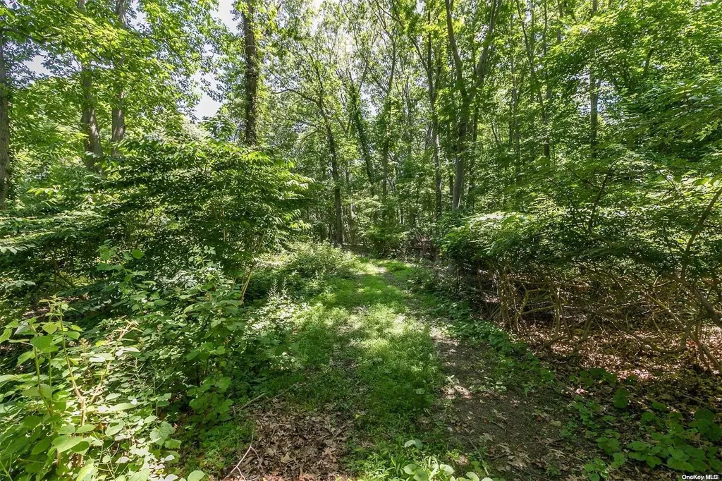 5 Hawks Nest Nissequogue NY 11780