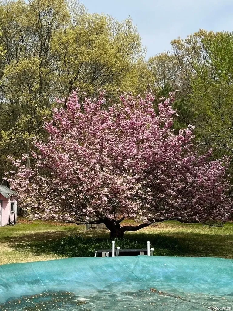 65 S Howell Avenue Centereach NY 11720