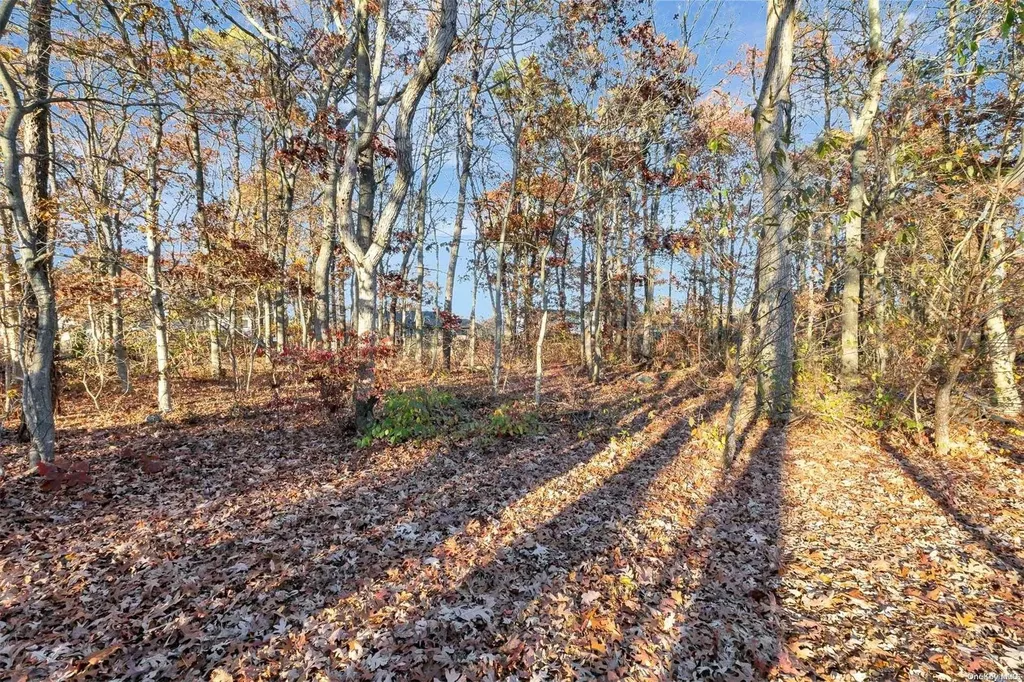 25 Sweetbriar Drive Mastic NY 11950