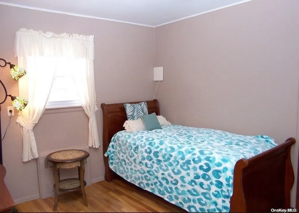 25 Alma Lane Plainview NY 11803