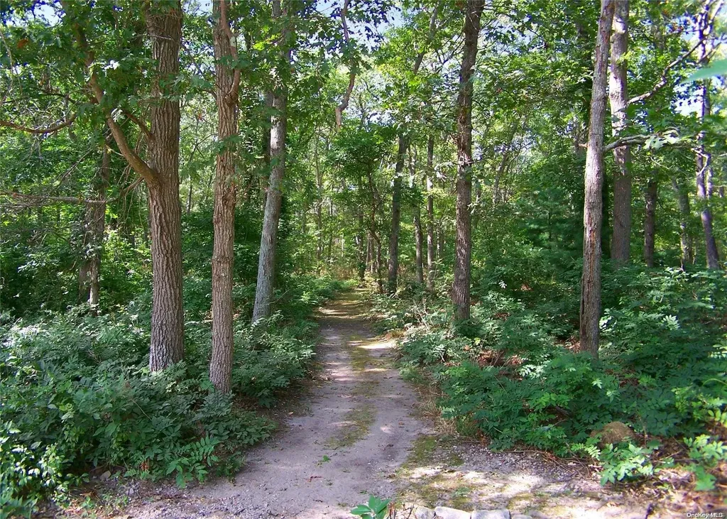 116 Raynor Road Ridge NY 11961