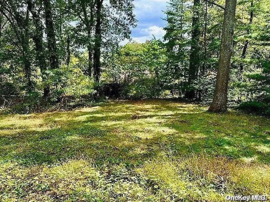 26 Hofstra Drive Plainview NY 11803