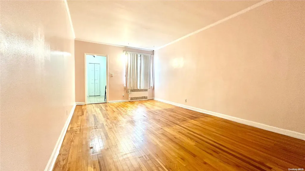 233 E 87th Street Brooklyn NY 11236