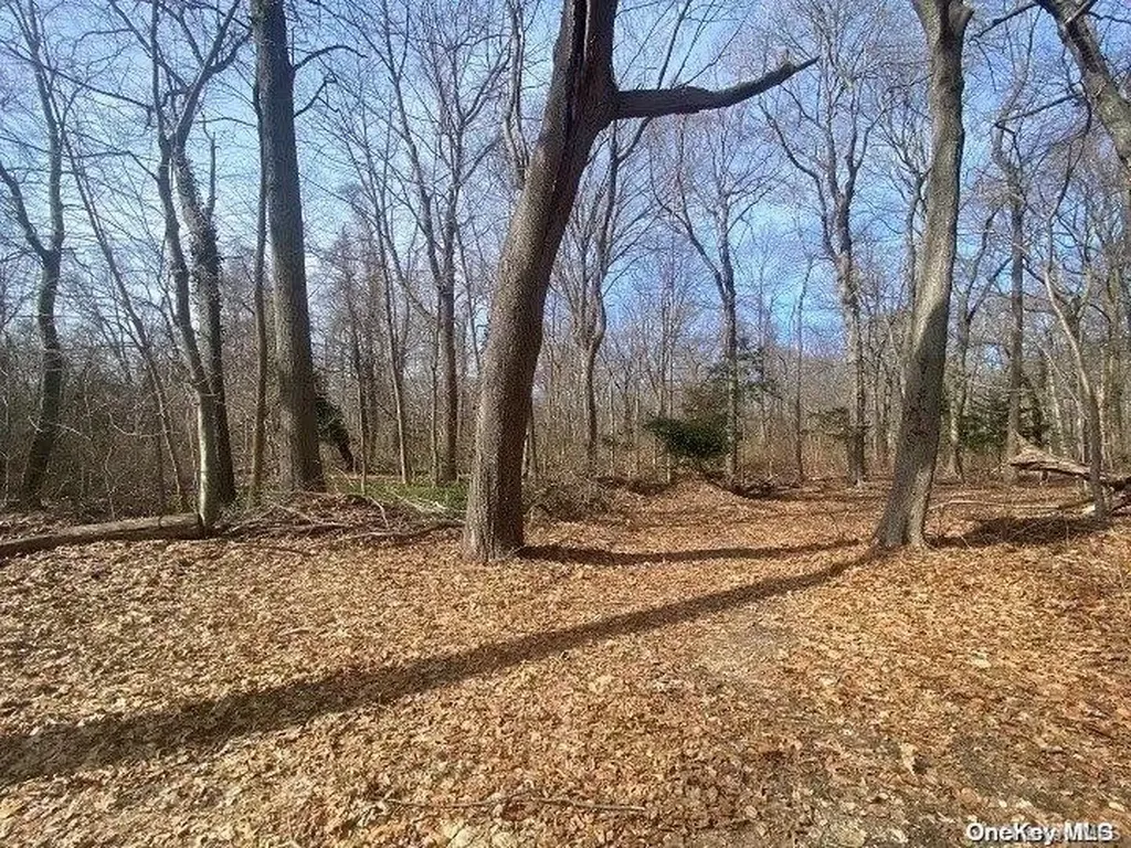 45 Mill River Road Upper Brookville NY 11771