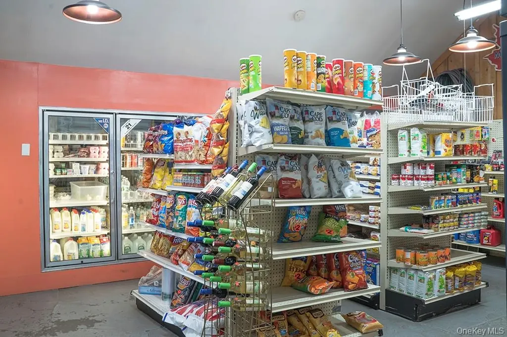 1293 Main Street Fleischmanns NY 12430