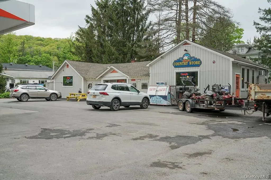 1293 Main Street Fleischmanns NY 12430