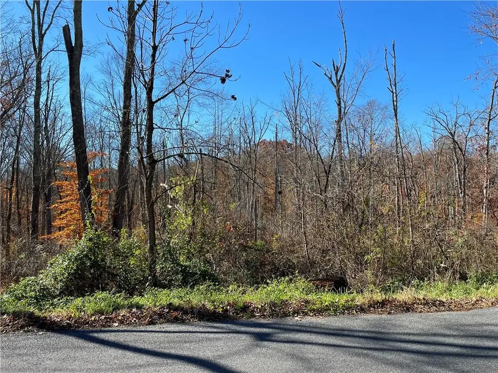 Lake Shore Drive Pine Bush NY 12566